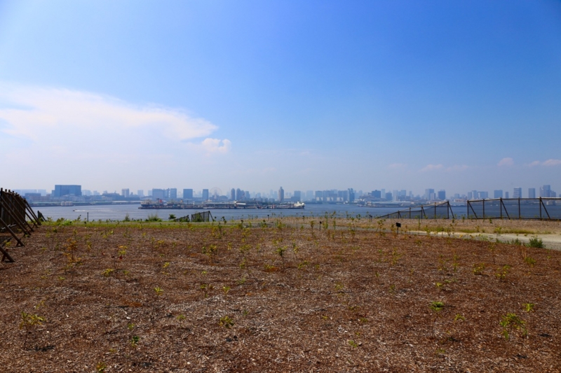 f:id:ornith:20150721173749j:plain f:id:ornith:20150721173749j:plain