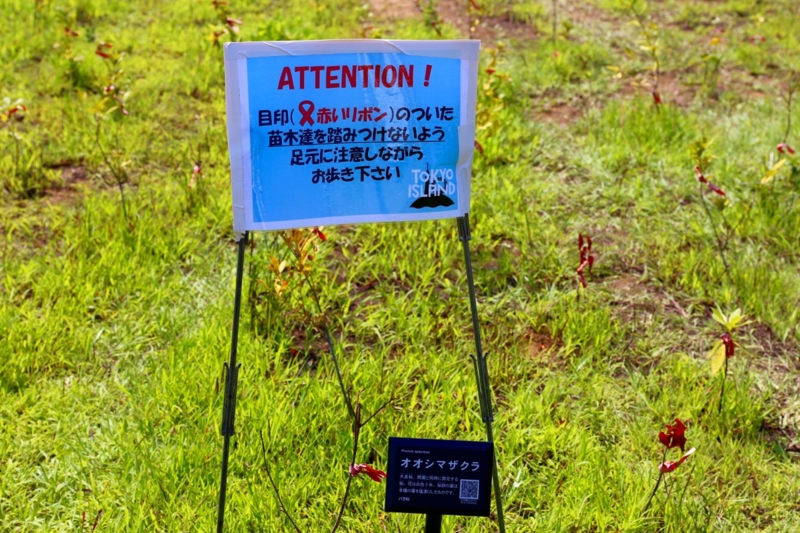 f:id:ornith:20150721173753j:plain f:id:ornith:20150721173753j:plain