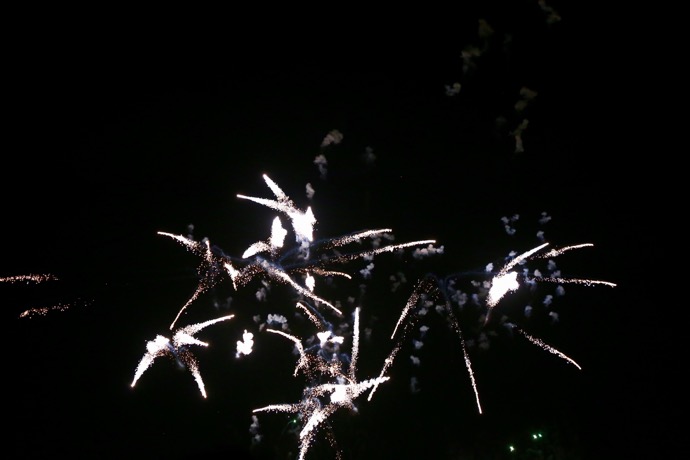 f:id:ornith:20150823222223j:plain