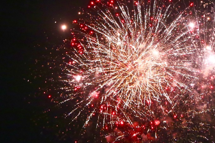 f:id:ornith:20150823222224j:plain