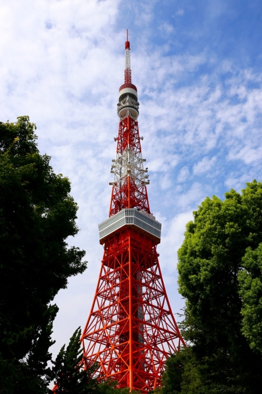f:id:ornith:20150902170123j:plain