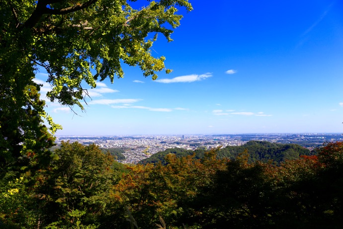 f:id:ornith:20151028173442j:plain