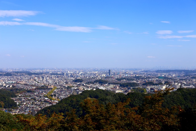 f:id:ornith:20151028173443j:plain