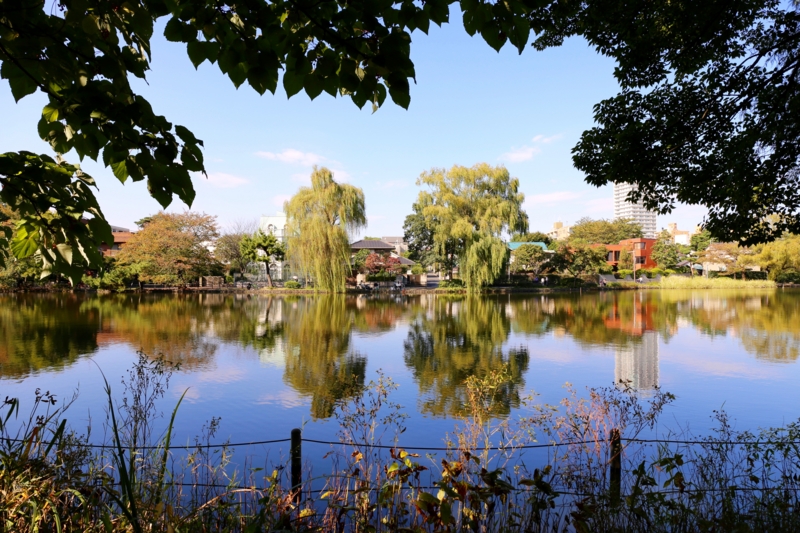 f:id:ornith:20151211183028j:plain