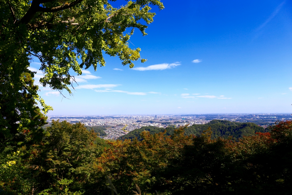 f:id:ornith:20151211191213j:plain