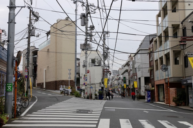 f:id:ornith:20160120180211j:plain