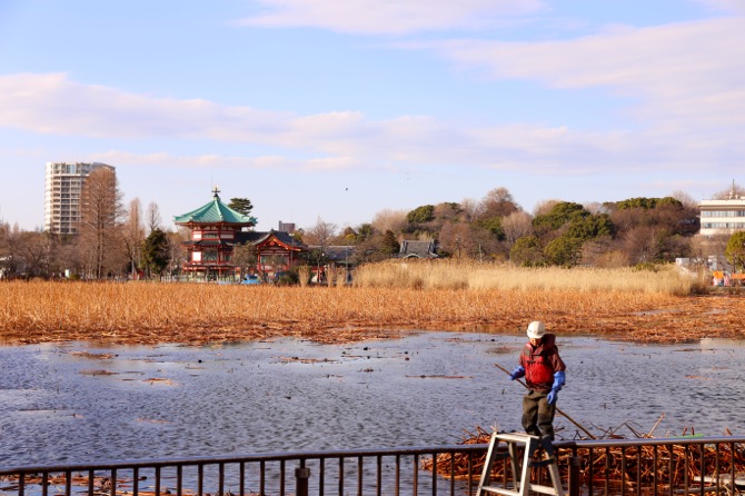 f:id:ornith:20160221234117j:plain f:id:ornith:20160221234117j:plain