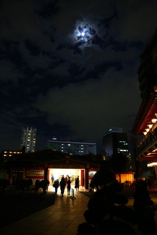 f:id:ornith:20160221234121j:plain f:id:ornith:20160221234121j:plain