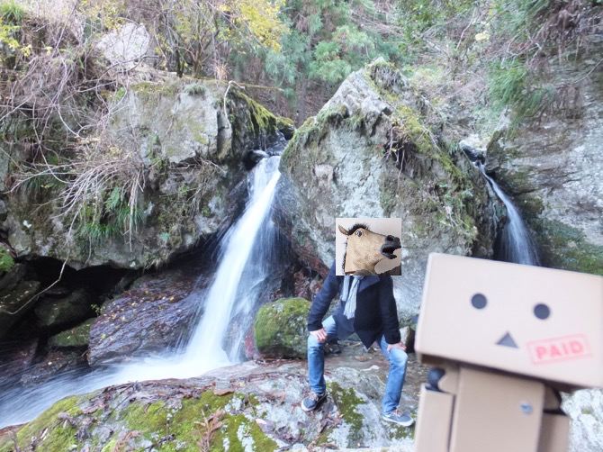 f:id:ornith:20160306234053j:plain