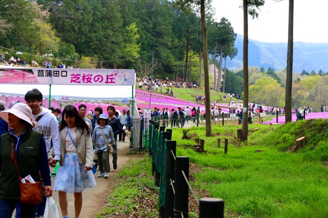 秩父 羊山公園 入り口