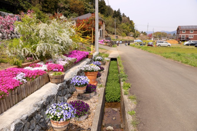 横瀬駅 羊山公園 道中4