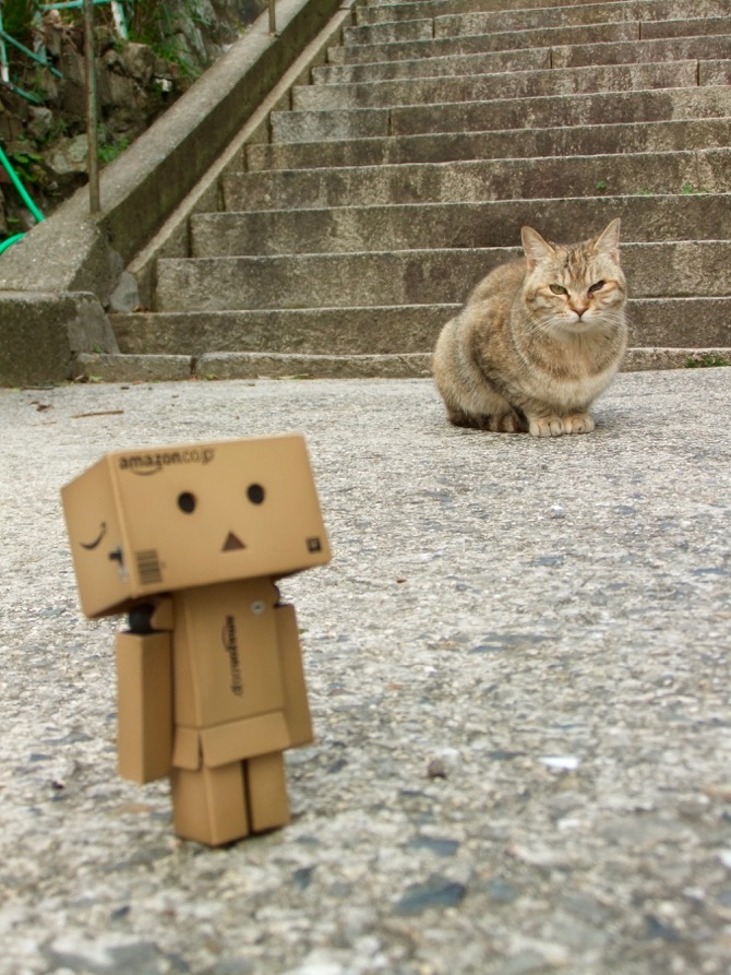 f:id:ornith:20160512195835j:plain f:id:ornith:20160512195835j:plain