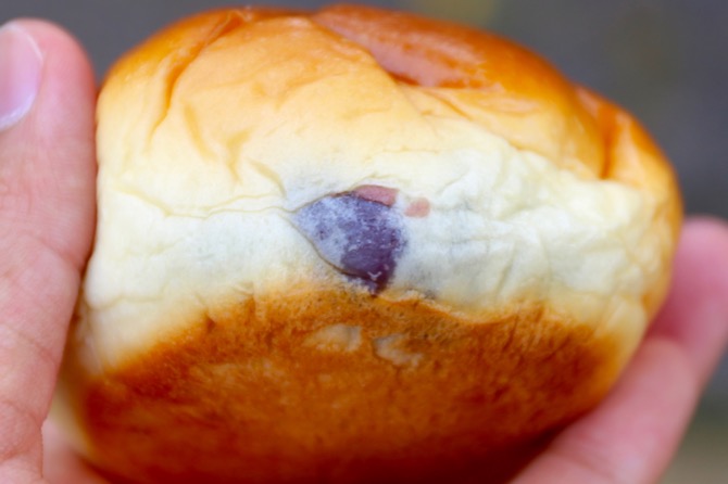 f:id:ornith:20160602160233j:plain