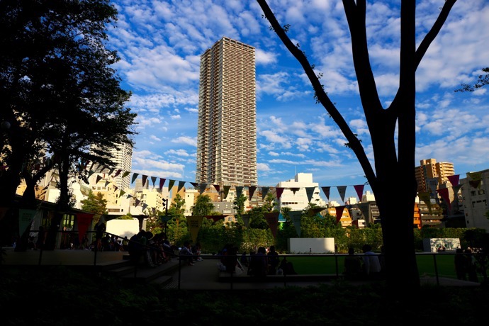 f:id:ornith:20160706211136j:plain