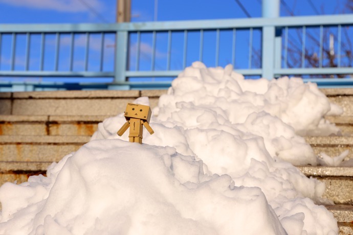 f:id:ornith:20160706211139j:plain