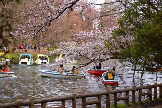 f:id:ornith:20160706211151j:plain