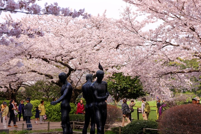 f:id:ornith:20160706211154j:plain