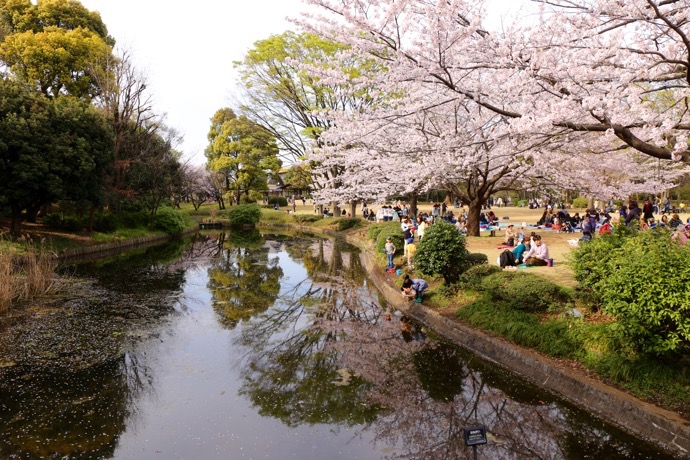 f:id:ornith:20160706211157j:plain