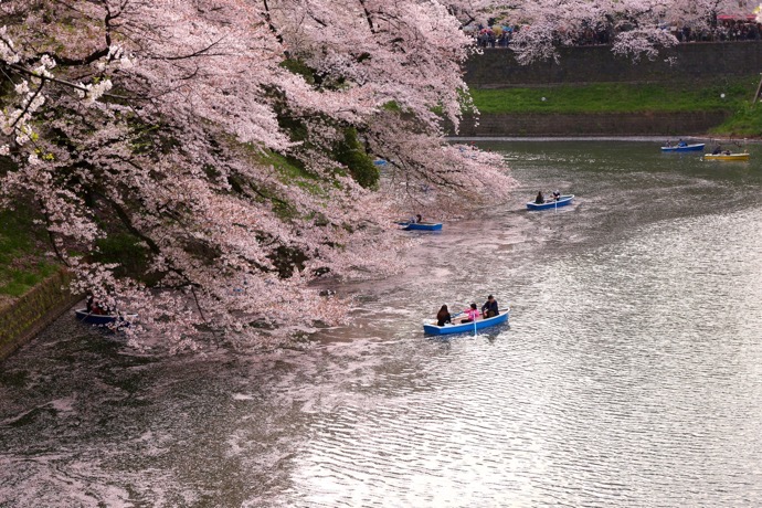 f:id:ornith:20160706211158j:plain