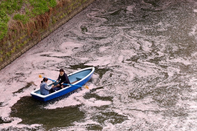 f:id:ornith:20160706211159j:plain