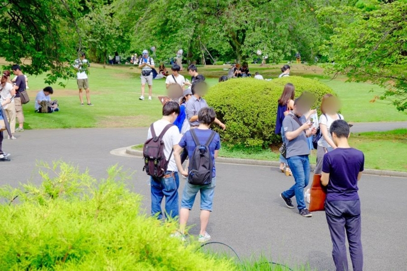 f:id:ornith:20160728212146j:plain