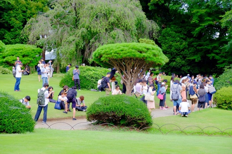 f:id:ornith:20160728212156j:plain