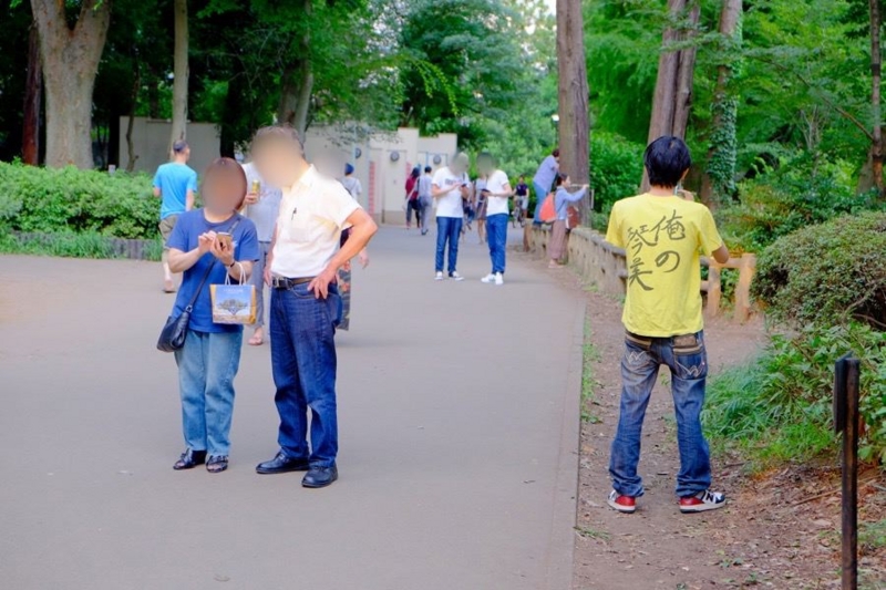 f:id:ornith:20160728212206j:plain