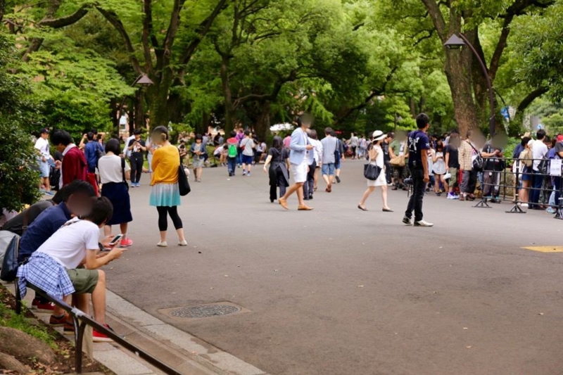 f:id:ornith:20160728212215j:plain