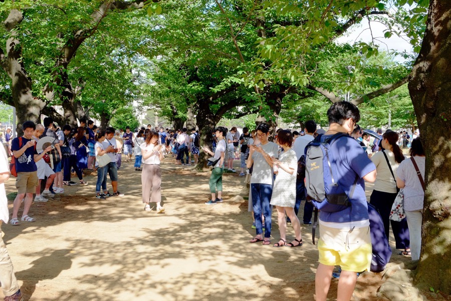 ポケモンGO 錦糸公園 2