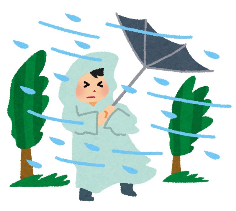 暴風雨の中 最終日のルノワール展を駆け込み鑑賞してきた ぐるりみち