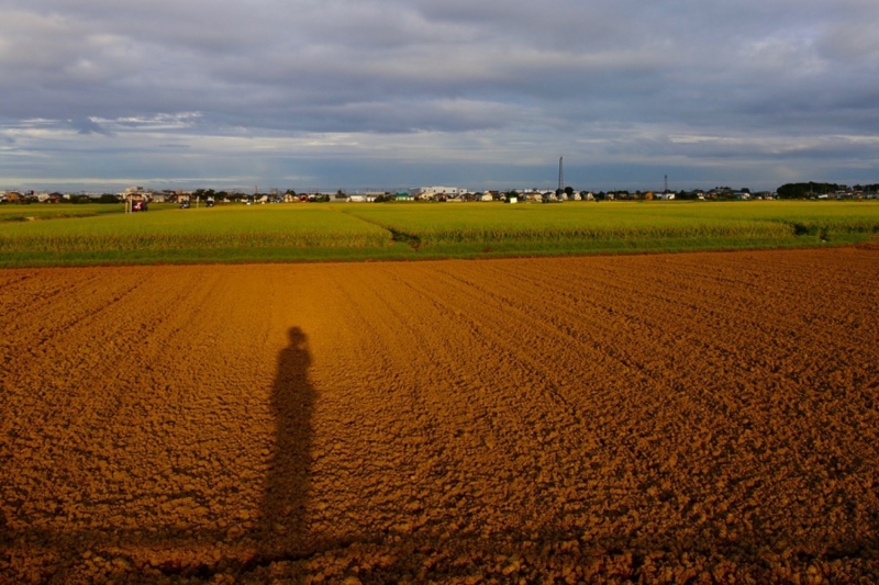 f:id:ornith:20160908190754j:plain f:id:ornith:20160908190754j:plain