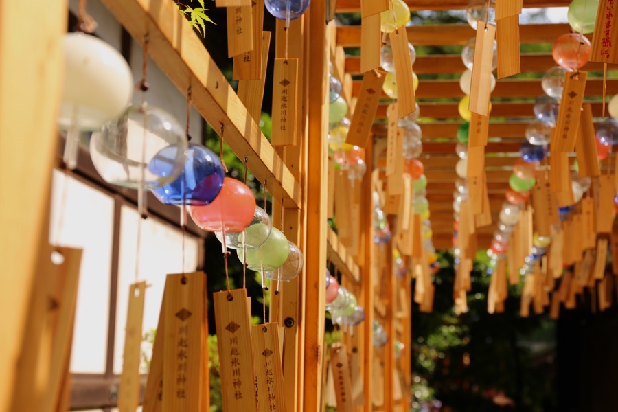 f:id:ornith:20160915183806j:plain f:id:ornith:20160915183806j:plain