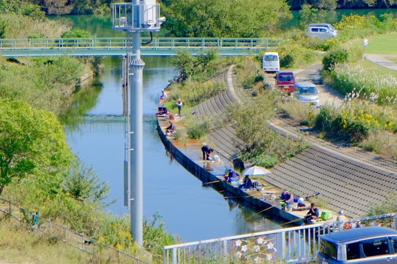 f:id:ornith:20161025175716j:plain