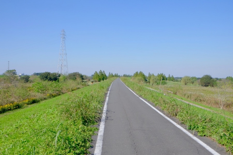 f:id:ornith:20161025175722j:plain