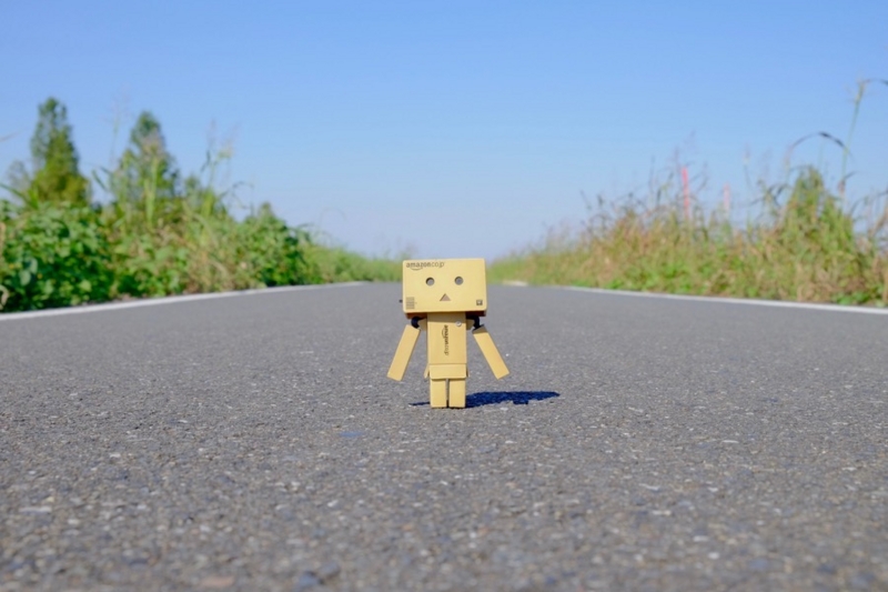 f:id:ornith:20161025175724j:plain