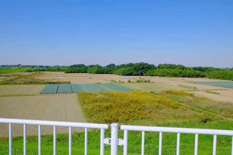 f:id:ornith:20161025175727j:plain