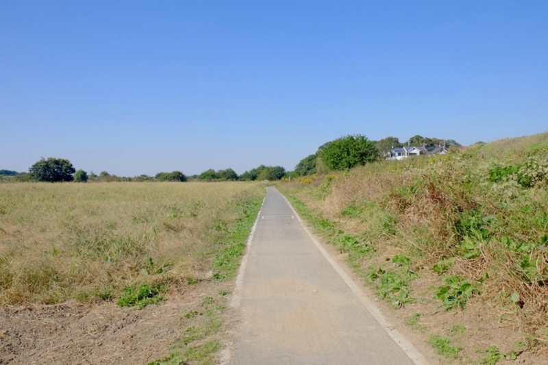 f:id:ornith:20161025175730j:plain