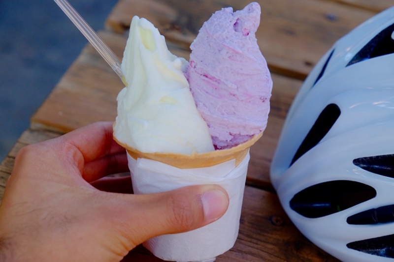 f:id:ornith:20161025175731j:plain