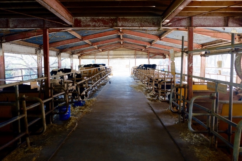 f:id:ornith:20161025175738j:plain