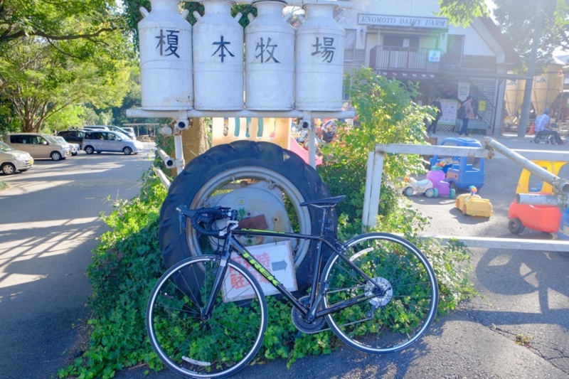 f:id:ornith:20161025175742j:plain