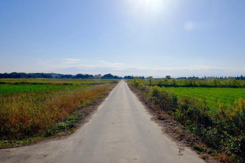 f:id:ornith:20161025175747j:plain