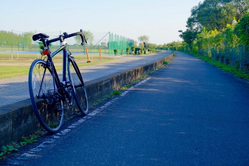 f:id:ornith:20161025175750j:plain