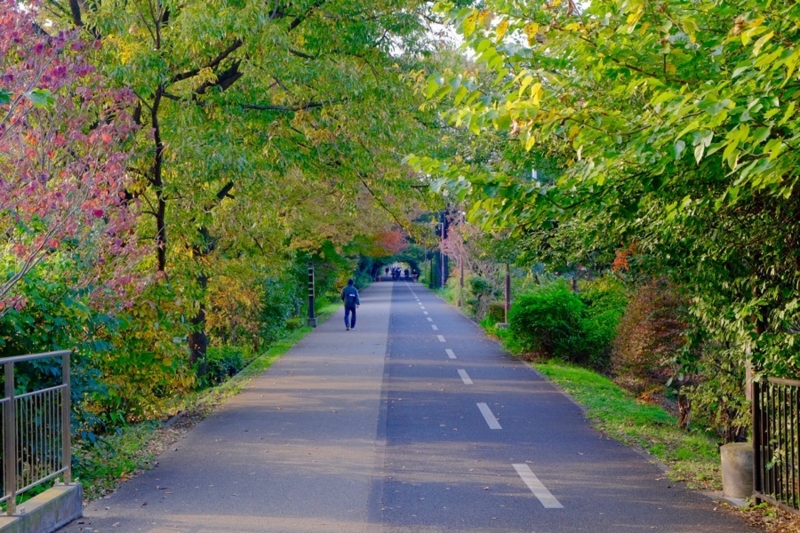 多摩湖自転車道