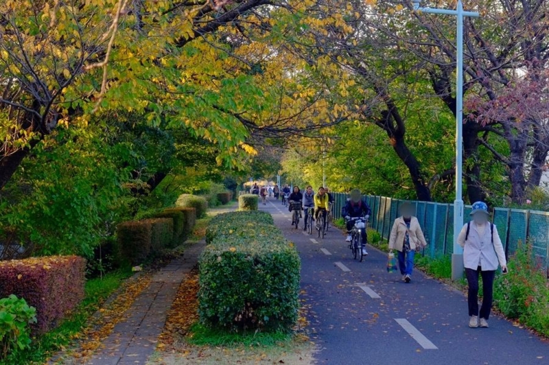 多摩湖自転車道