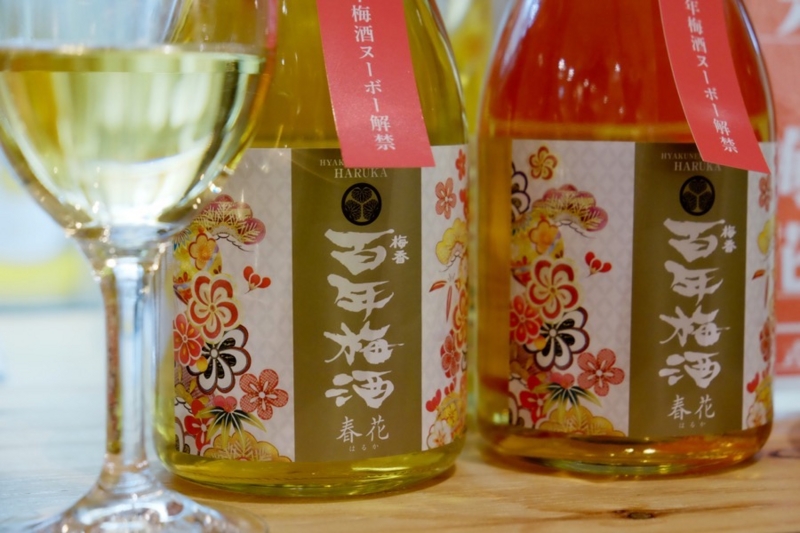 梅酒ヌーボー 百年梅酒 春花