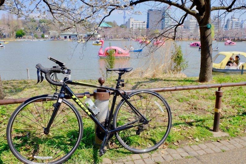 f:id:ornith:20170407161621j:plain