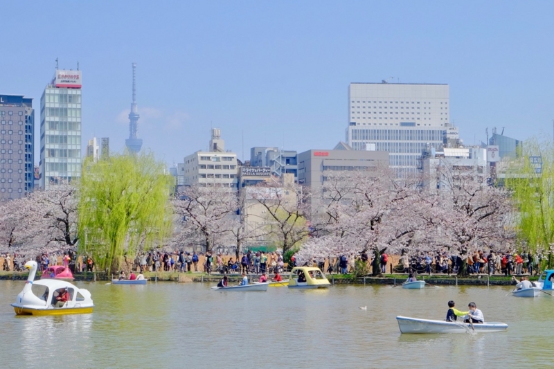 f:id:ornith:20170407161623j:plain