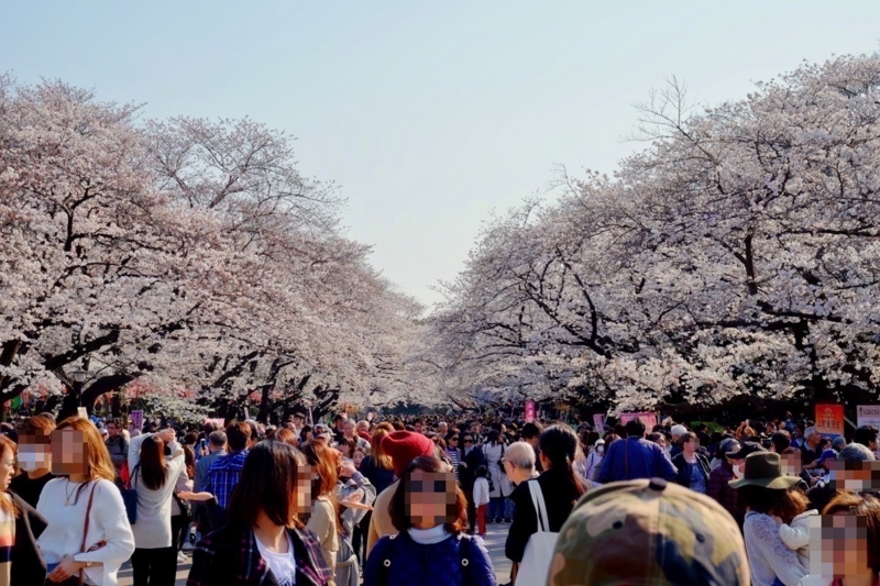 f:id:ornith:20170407161624j:plain