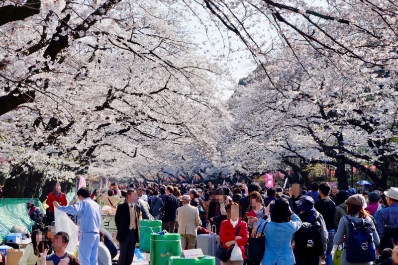 f:id:ornith:20170407161625j:plain