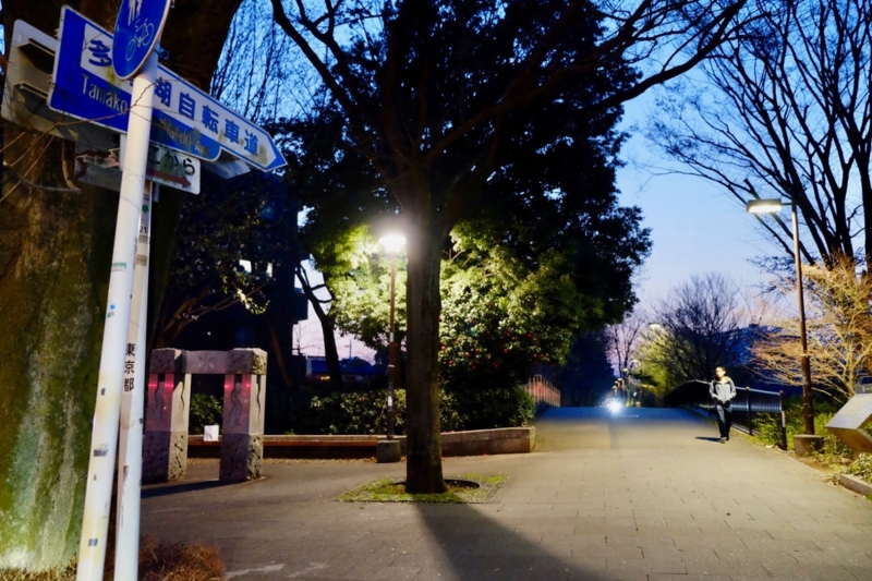 f:id:ornith:20170407161635j:plain